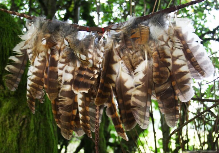 156-OWL-FEATHERS.jpg