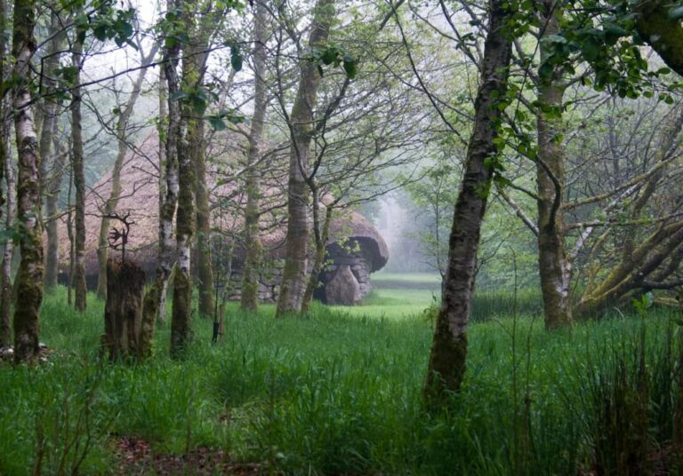 62-ROUNDHOUSE-TREES.jpg