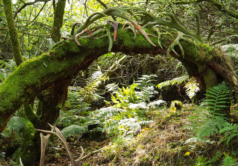 Deer-shrine